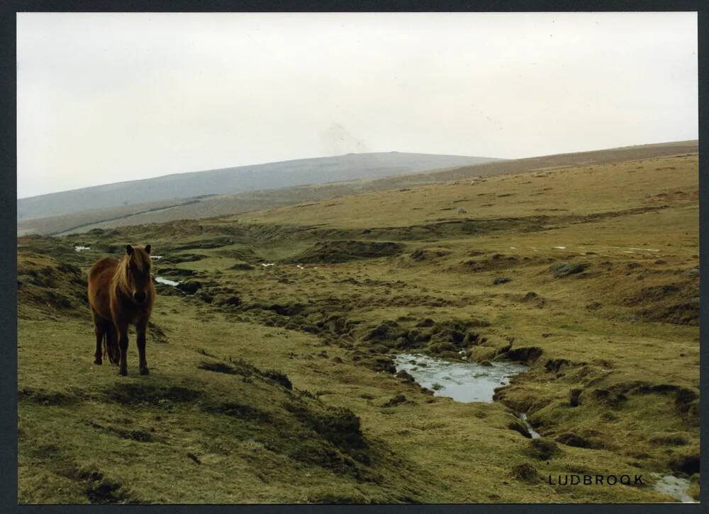 An image from the Dartmoor Trust Archive