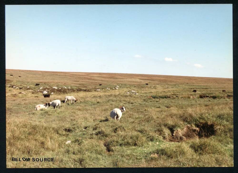 An image from the Dartmoor Trust Archive