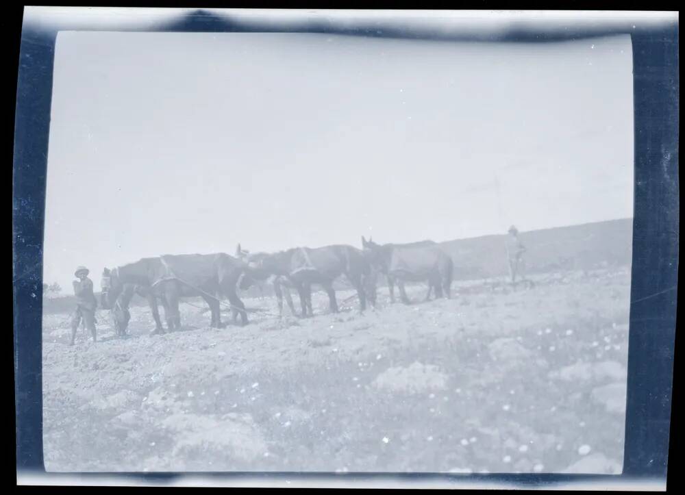 An image from the Dartmoor Trust Archive