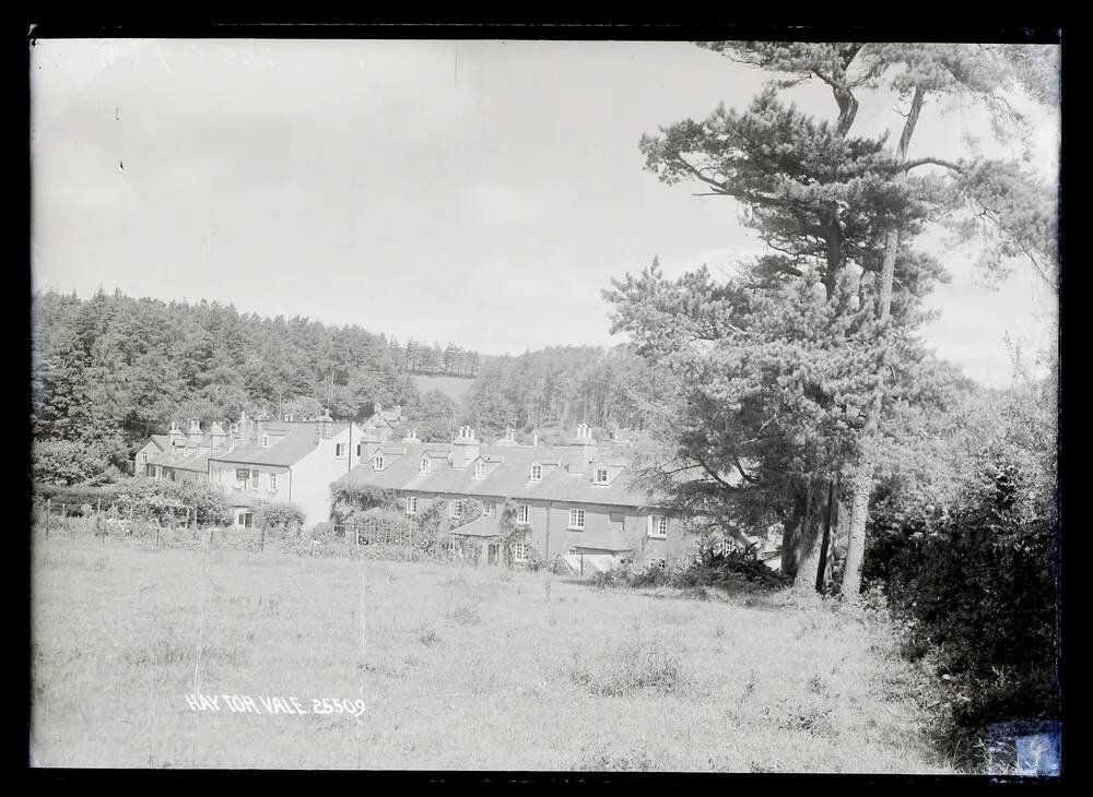 Haytor Vale, Ilgtonsin