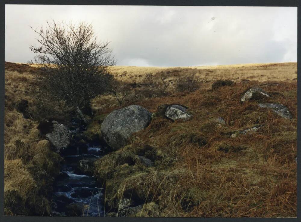 21/9 Bala Brook 25/2/1991