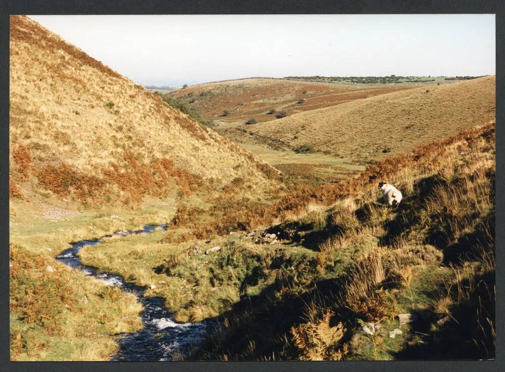 An image from the Dartmoor Trust Archive