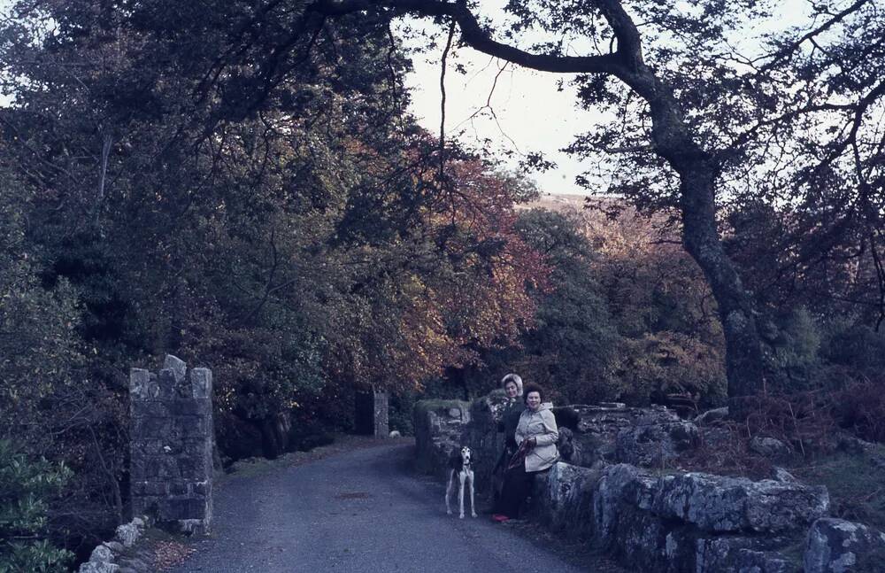 An image from the Dartmoor Trust Archive