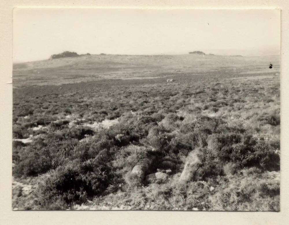 An image from the Dartmoor Trust Archive