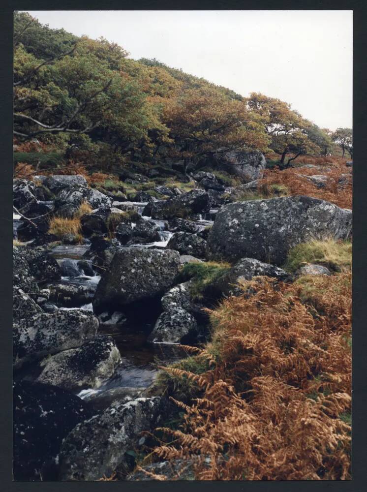 An image from the Dartmoor Trust Archive