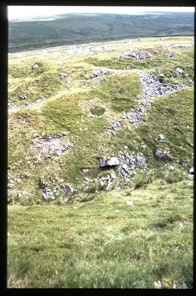 Cache on Fox Tor