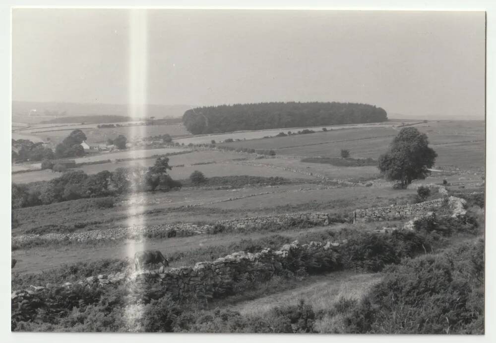 An image from the Dartmoor Trust Archive