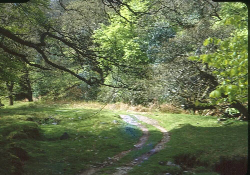 An image from the Dartmoor Trust Archive