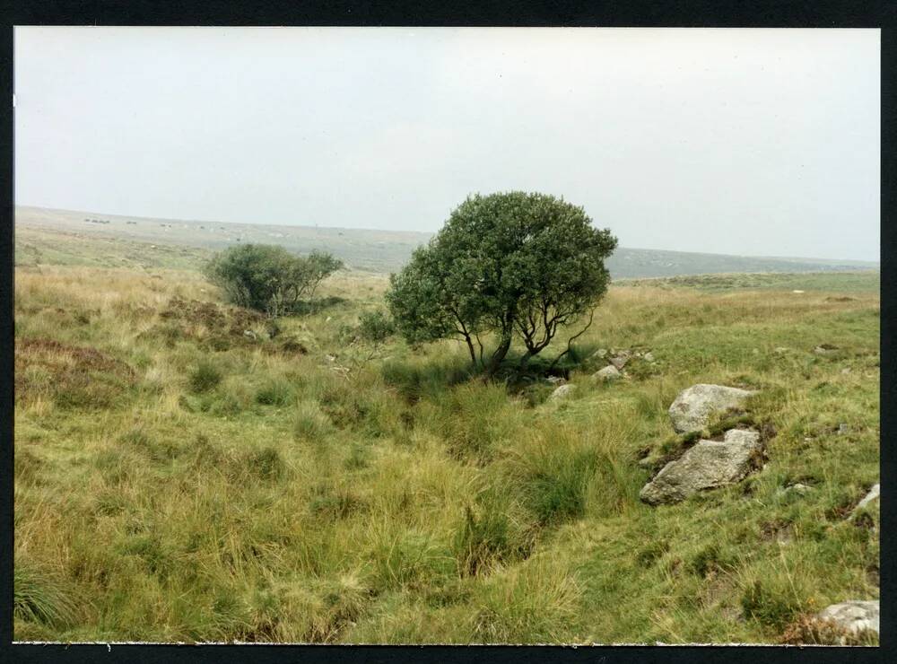 An image from the Dartmoor Trust Archive