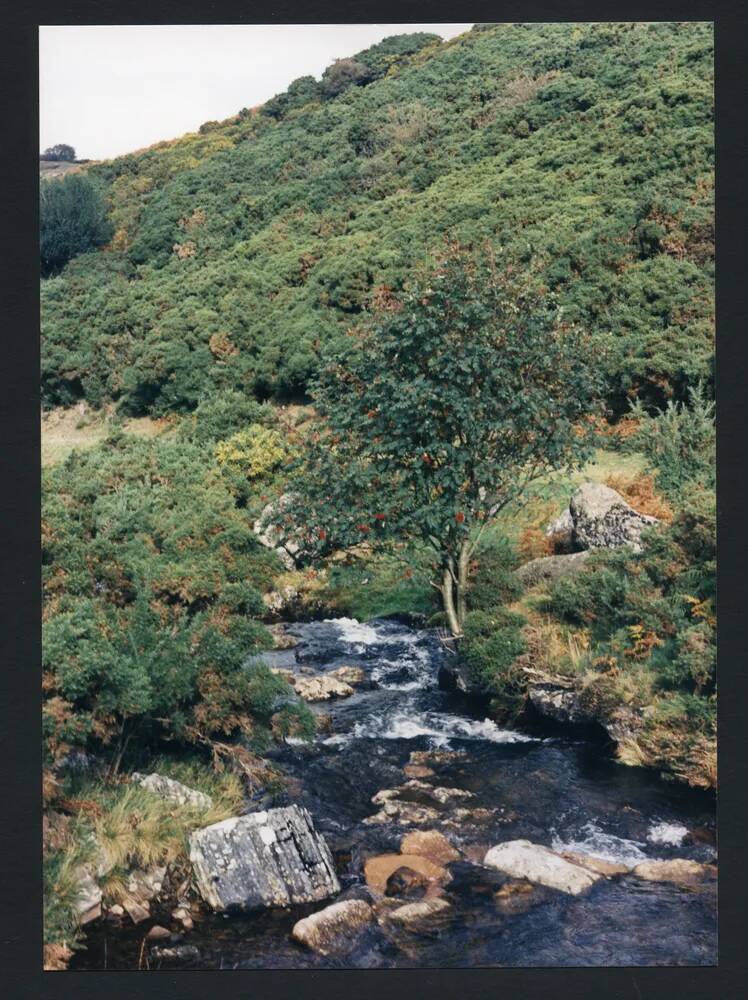 An image from the Dartmoor Trust Archive