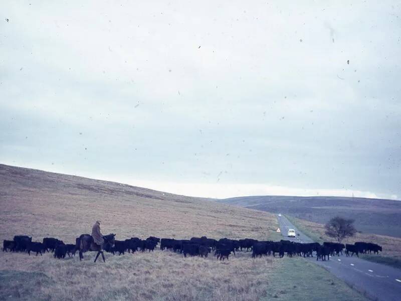 An image from the Dartmoor Trust Archive