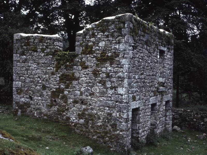 An image from the Dartmoor Trust Archive