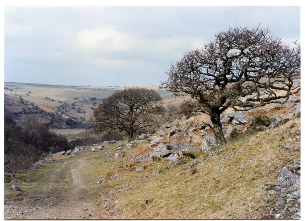 An image from the Dartmoor Trust Archive