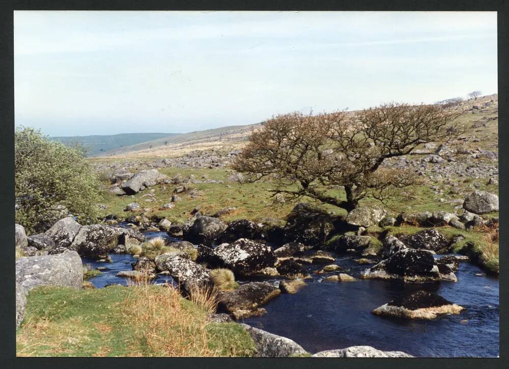 An image from the Dartmoor Trust Archive