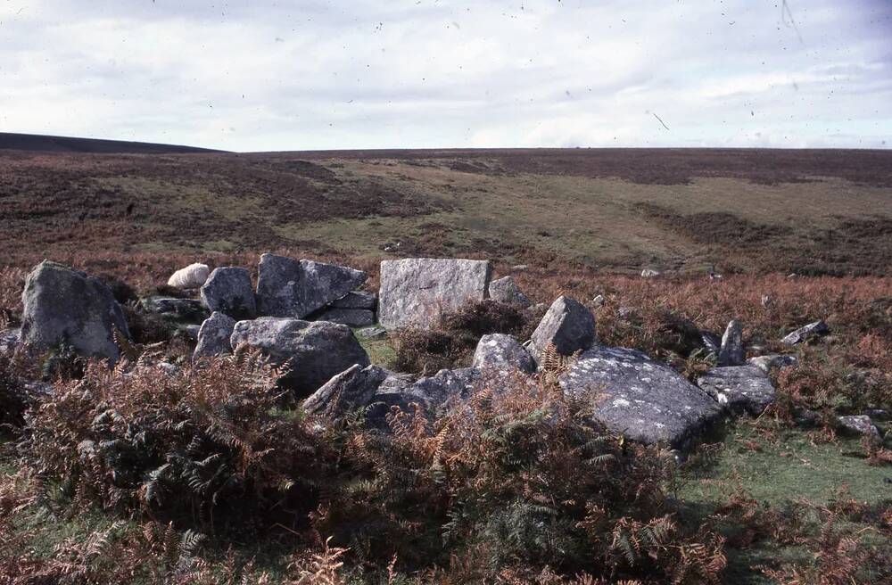 An image from the Dartmoor Trust Archive