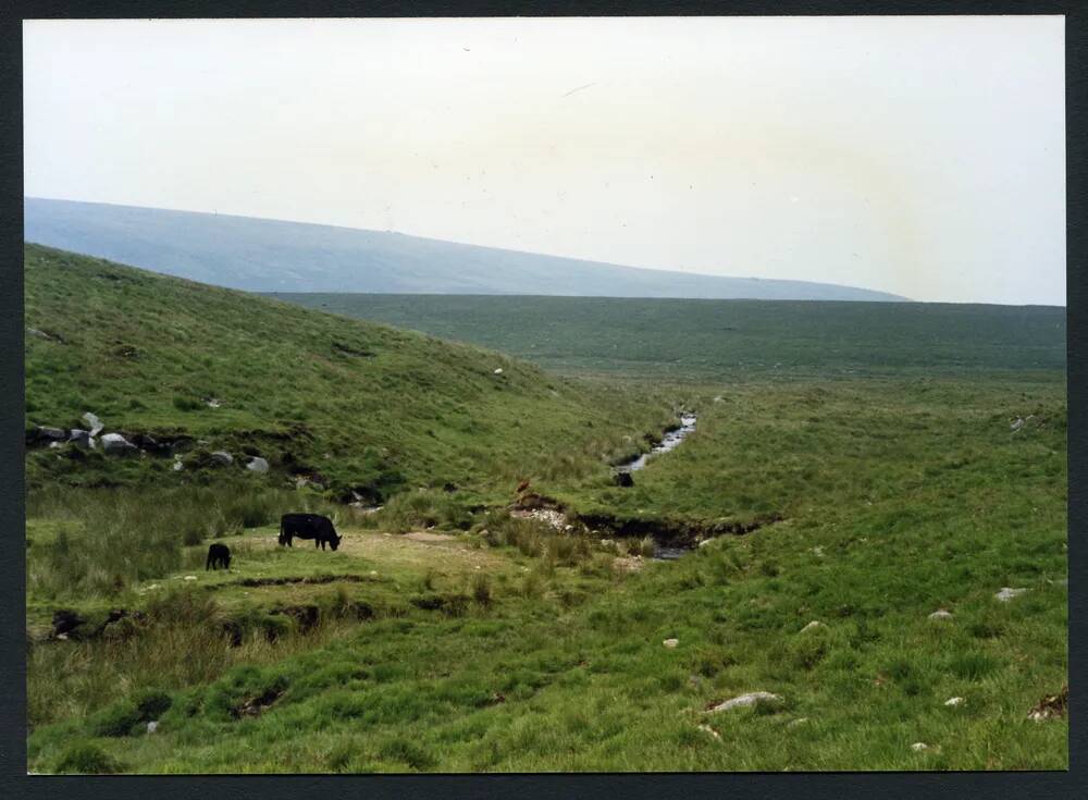 An image from the Dartmoor Trust Archive