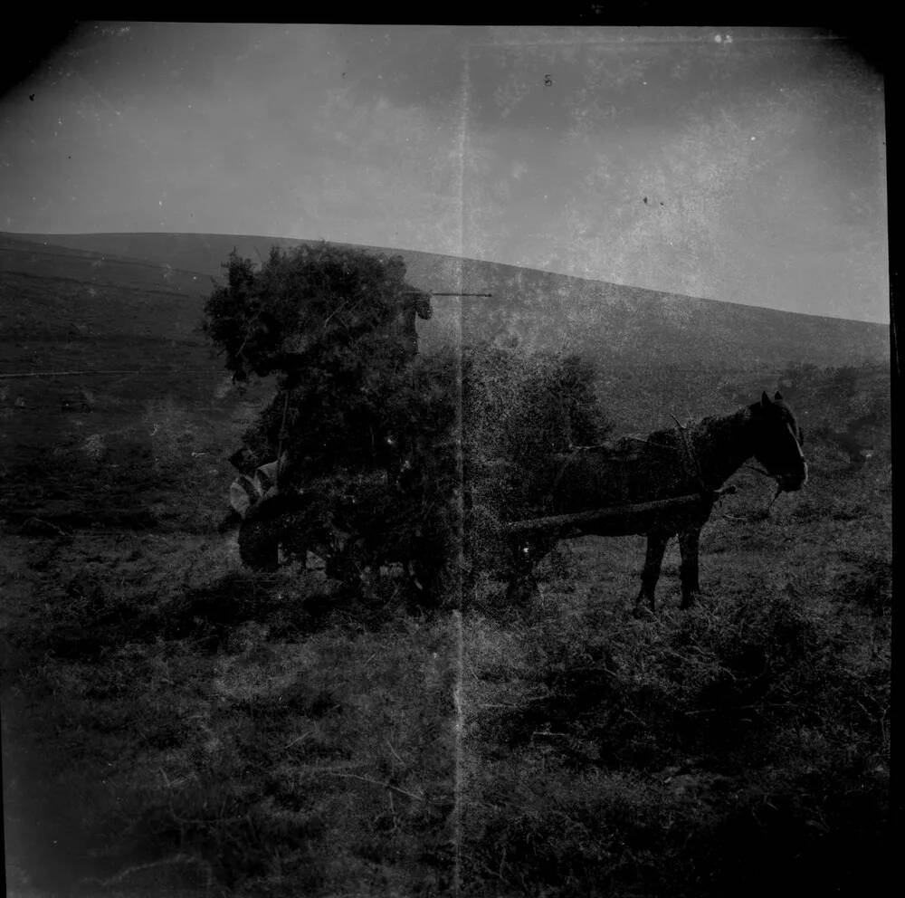 An image from the Dartmoor Trust Archive