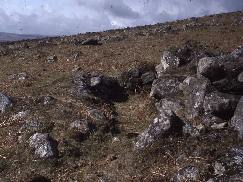 An image from the Dartmoor Trust Archive