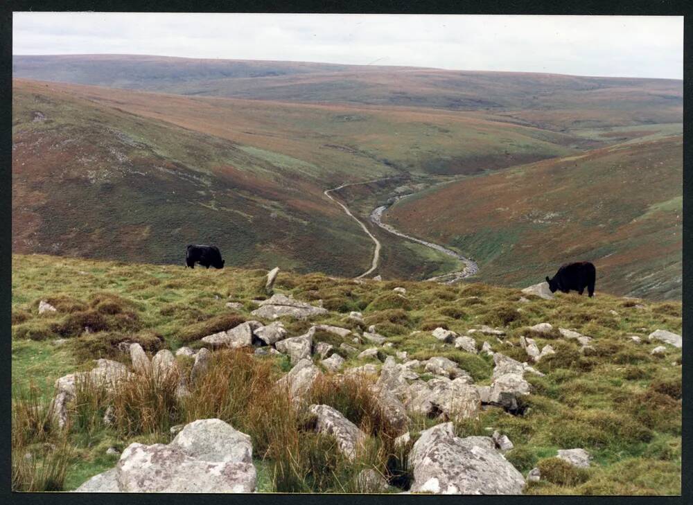 An image from the Dartmoor Trust Archive