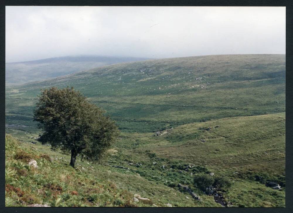 An image from the Dartmoor Trust Archive