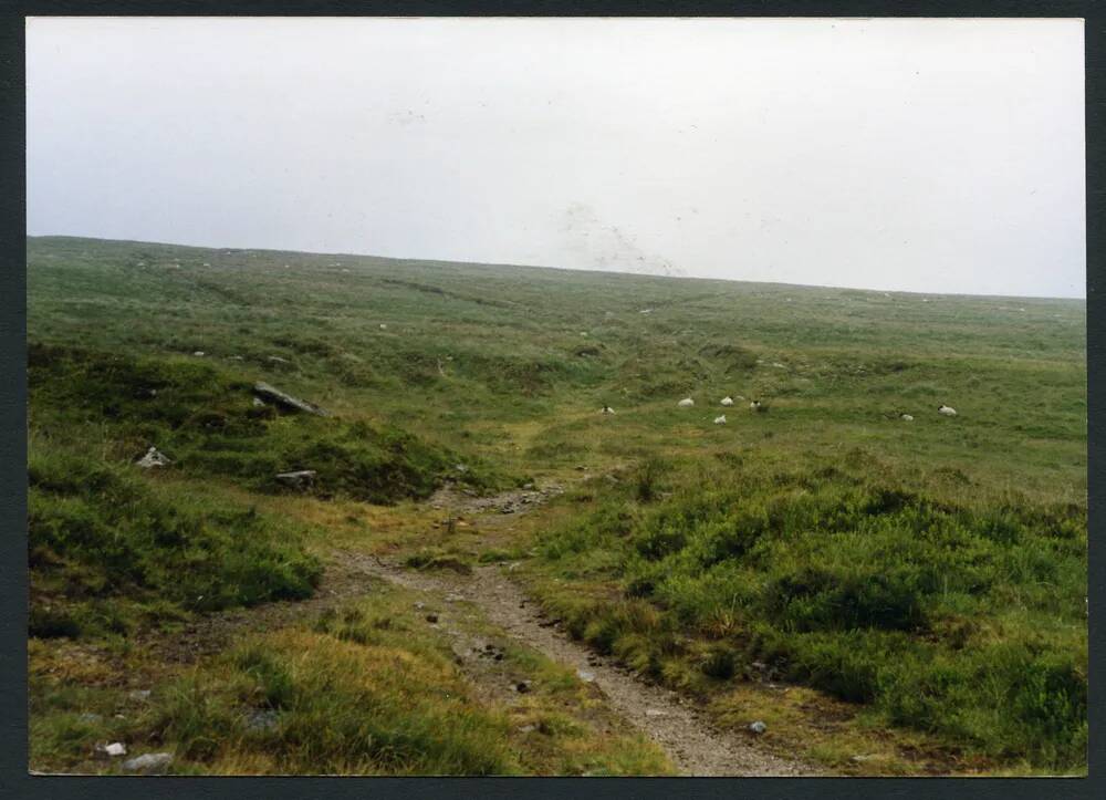 An image from the Dartmoor Trust Archive