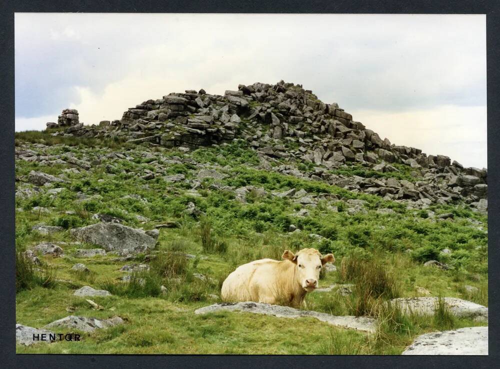 An image from the Dartmoor Trust Archive