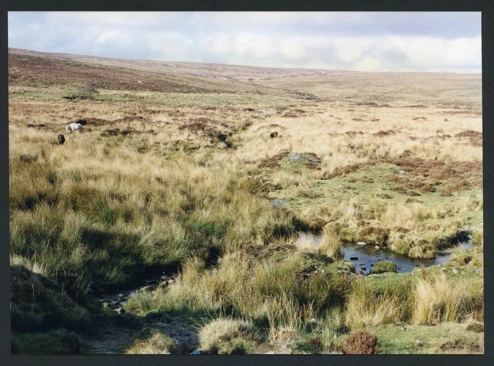 An image from the Dartmoor Trust Archive