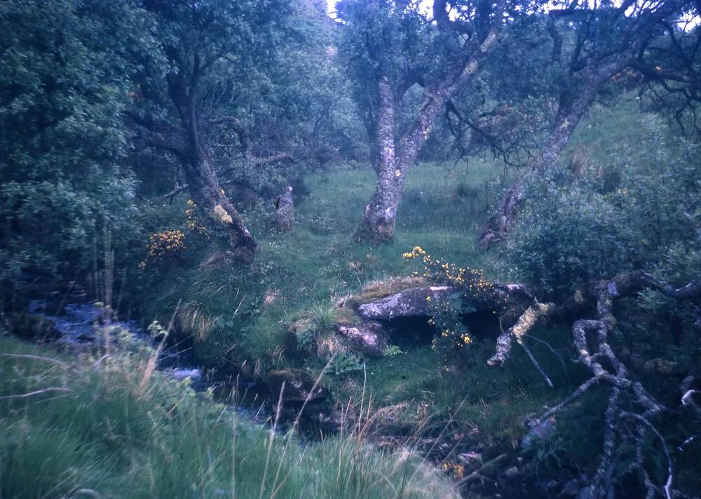 An image from the Dartmoor Trust Archive