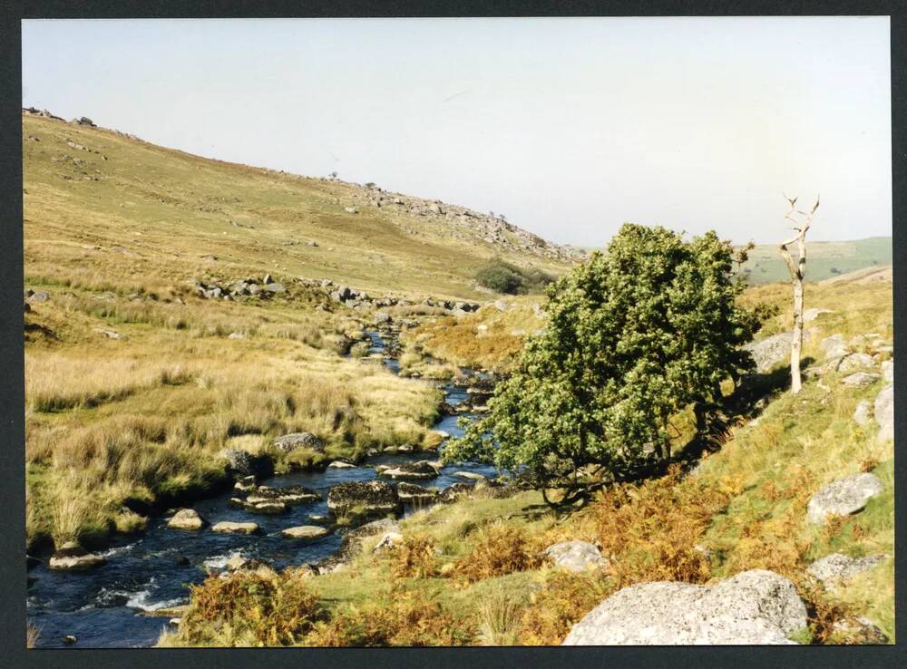 An image from the Dartmoor Trust Archive