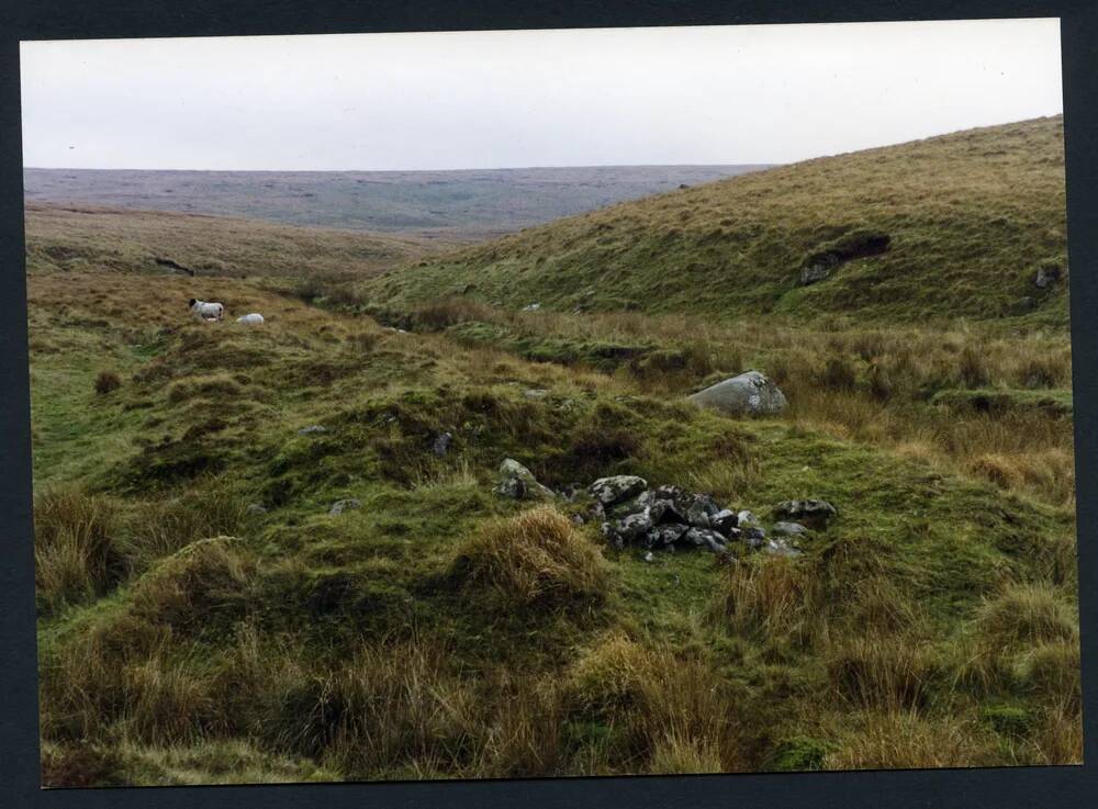 An image from the Dartmoor Trust Archive