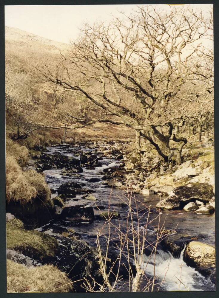 An image from the Dartmoor Trust Archive