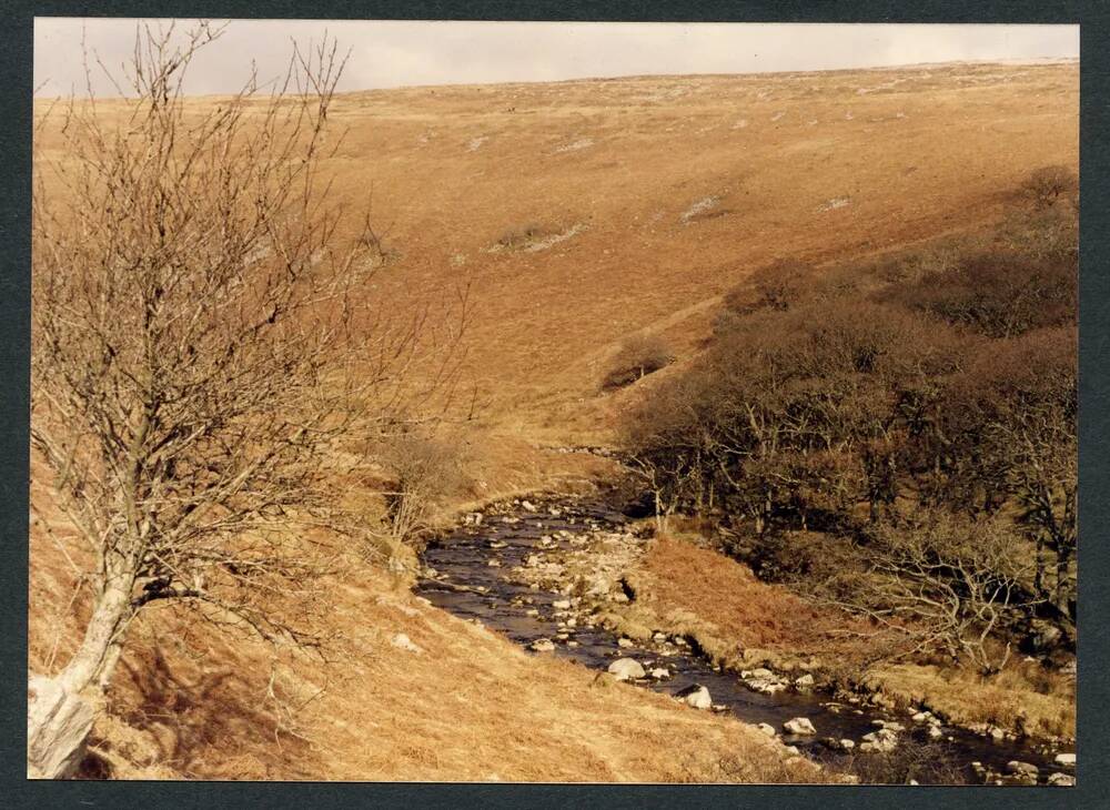 An image from the Dartmoor Trust Archive