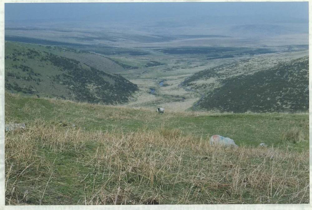 An image from the Dartmoor Trust Archive