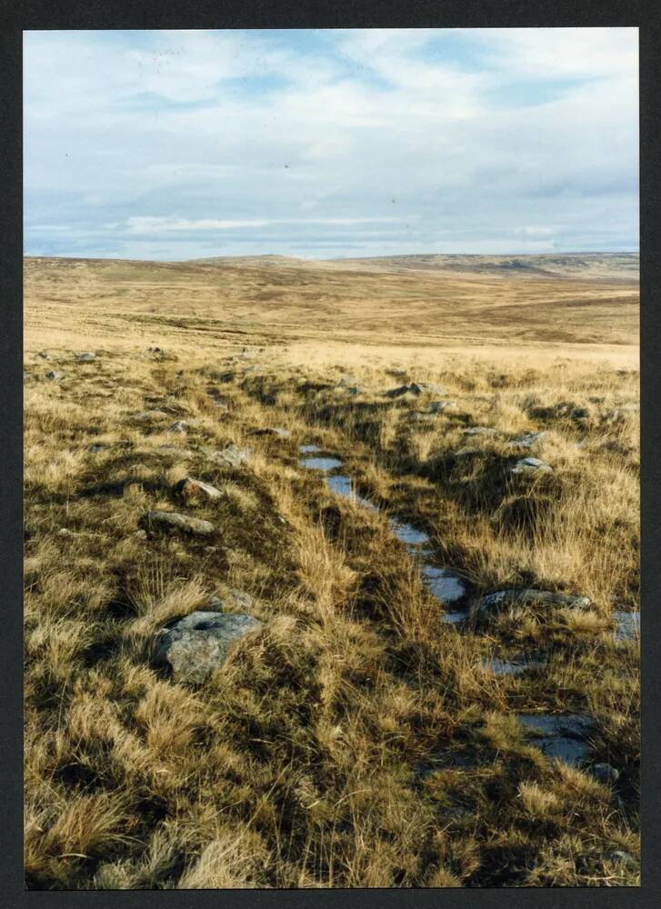 An image from the Dartmoor Trust Archive