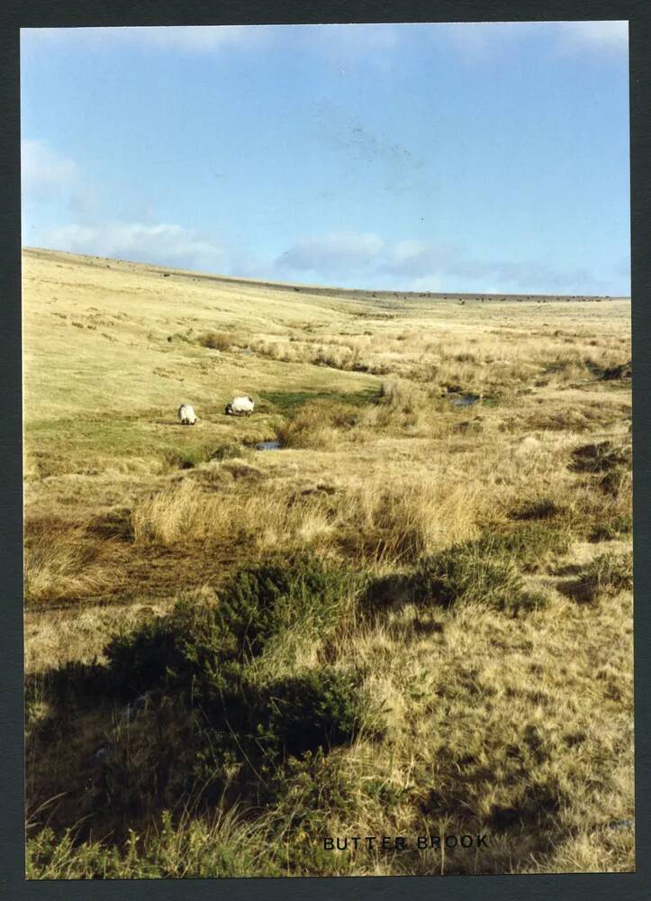 An image from the Dartmoor Trust Archive