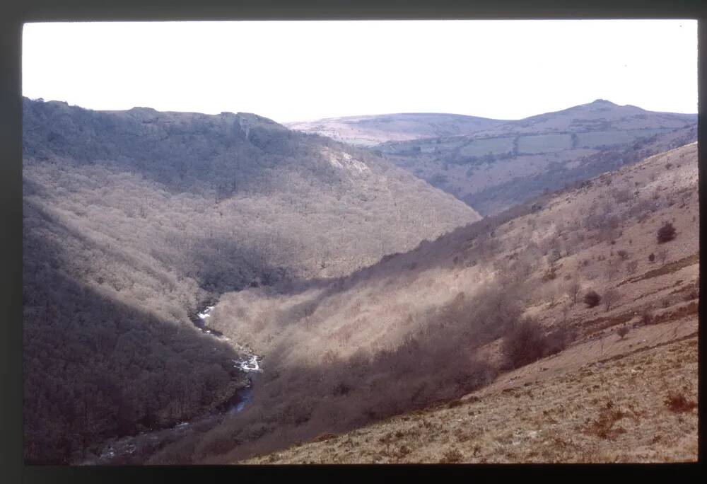 Dr. Blackalls Drive looking towards River