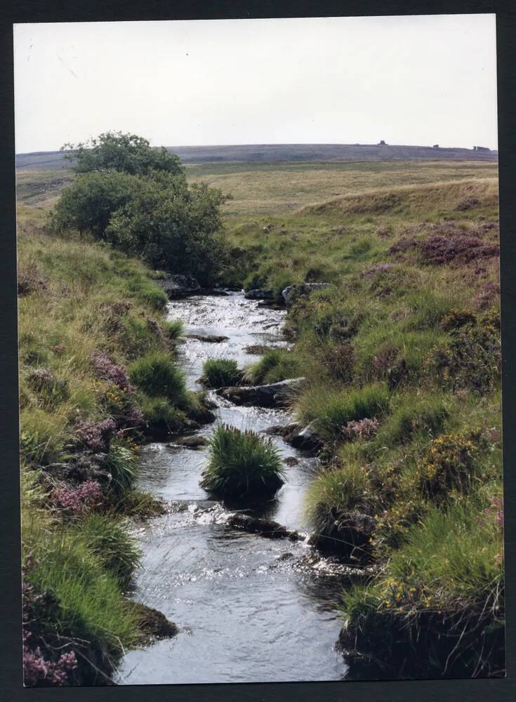 An image from the Dartmoor Trust Archive