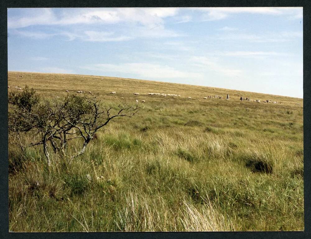 An image from the Dartmoor Trust Archive