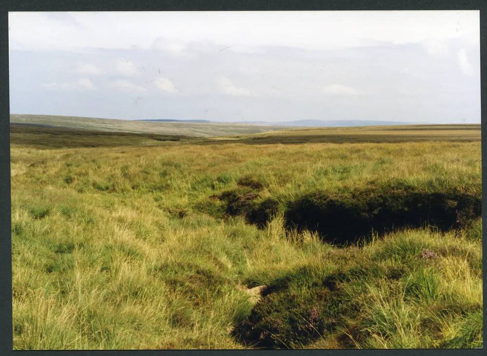 24/56 Below source of Cut Hill stream 20/8/1992