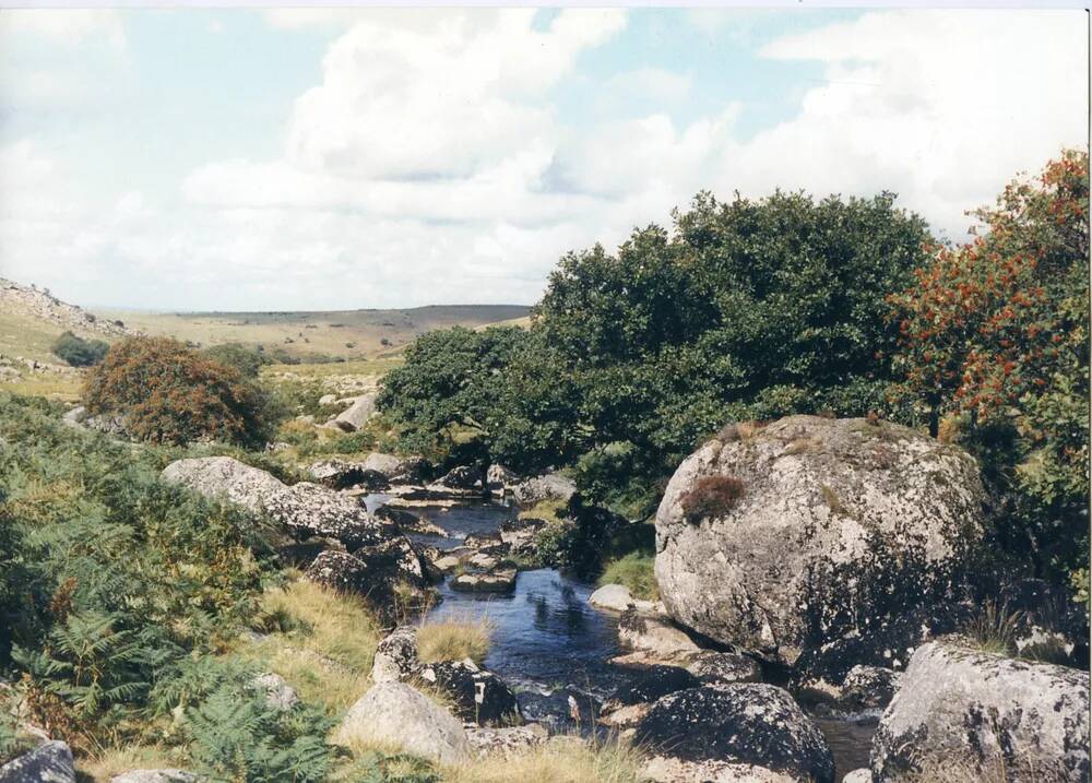 An image from the Dartmoor Trust Archive