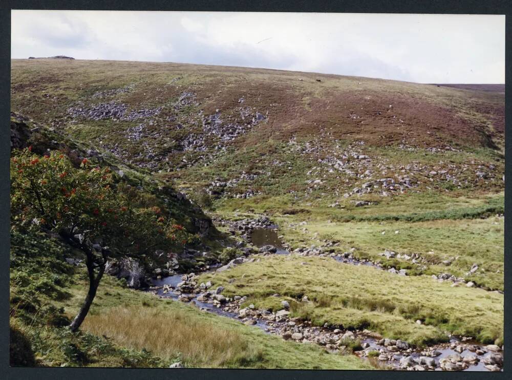 An image from the Dartmoor Trust Archive