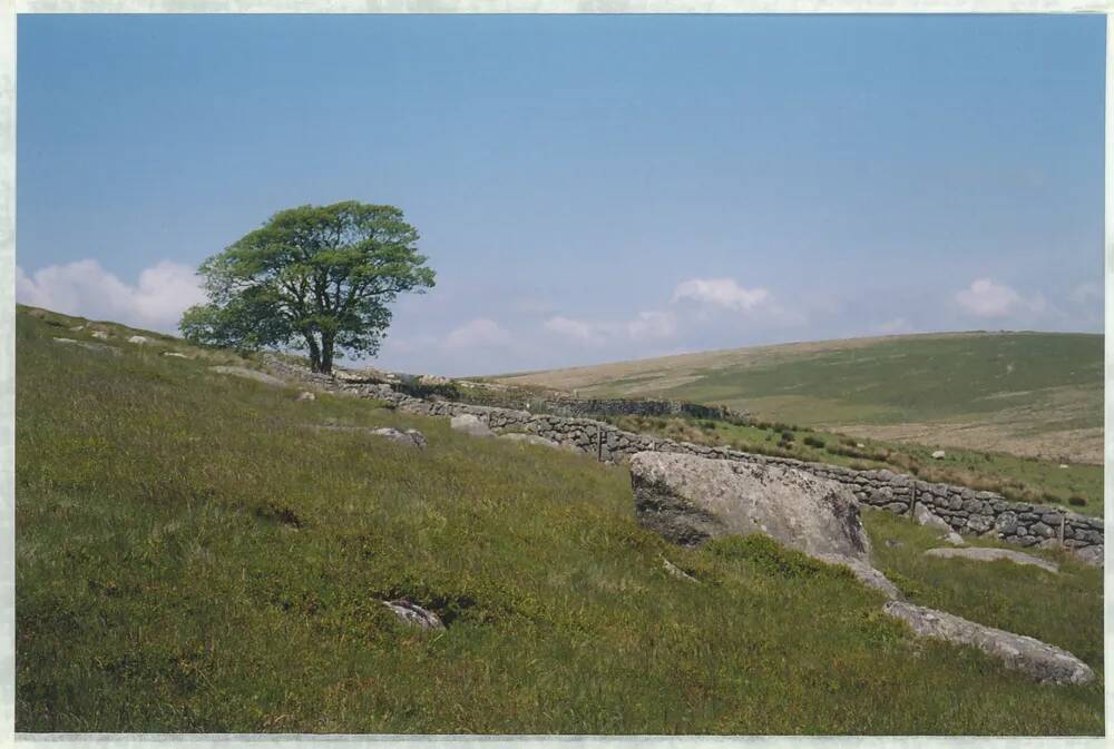 An image from the Dartmoor Trust Archive