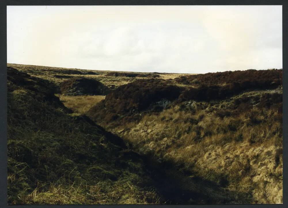 An image from the Dartmoor Trust Archive