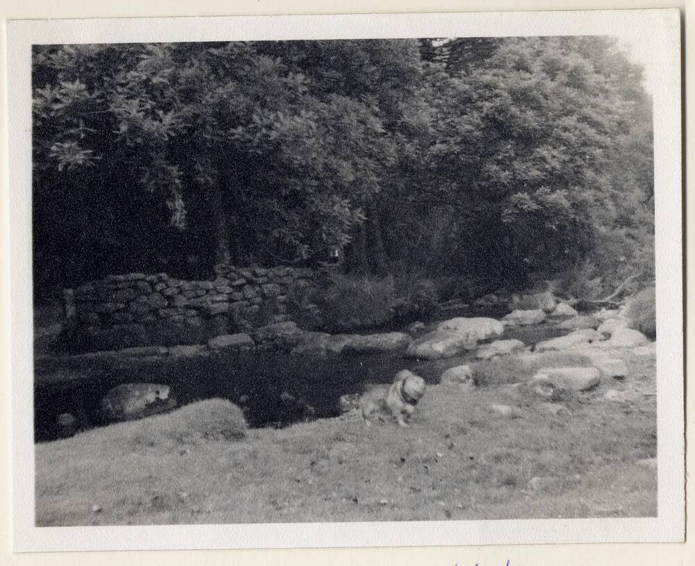 Chapel Ford across the East Okement River at Halstock Wood