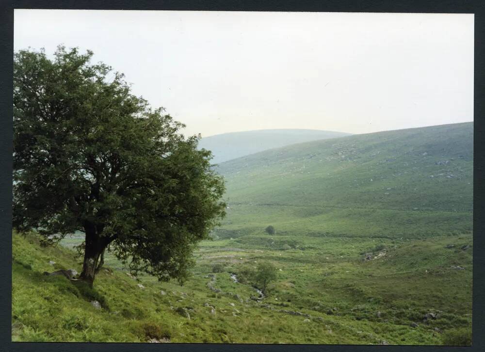 An image from the Dartmoor Trust Archive