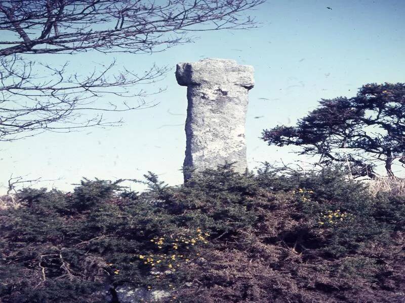 An image from the Dartmoor Trust Archive