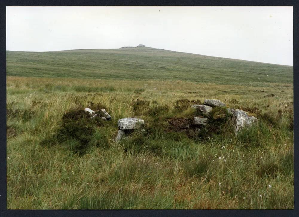 An image from the Dartmoor Trust Archive