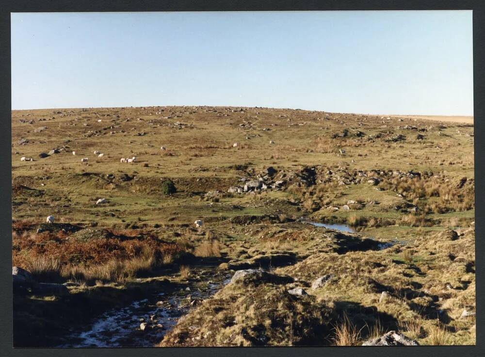 An image from the Dartmoor Trust Archive