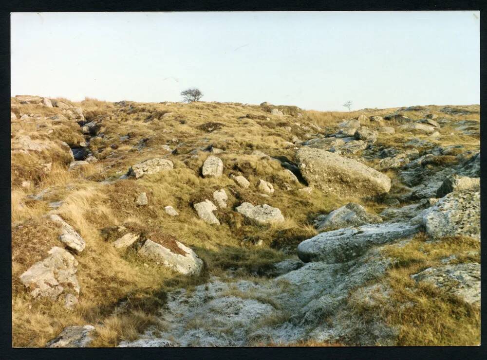 An image from the Dartmoor Trust Archive