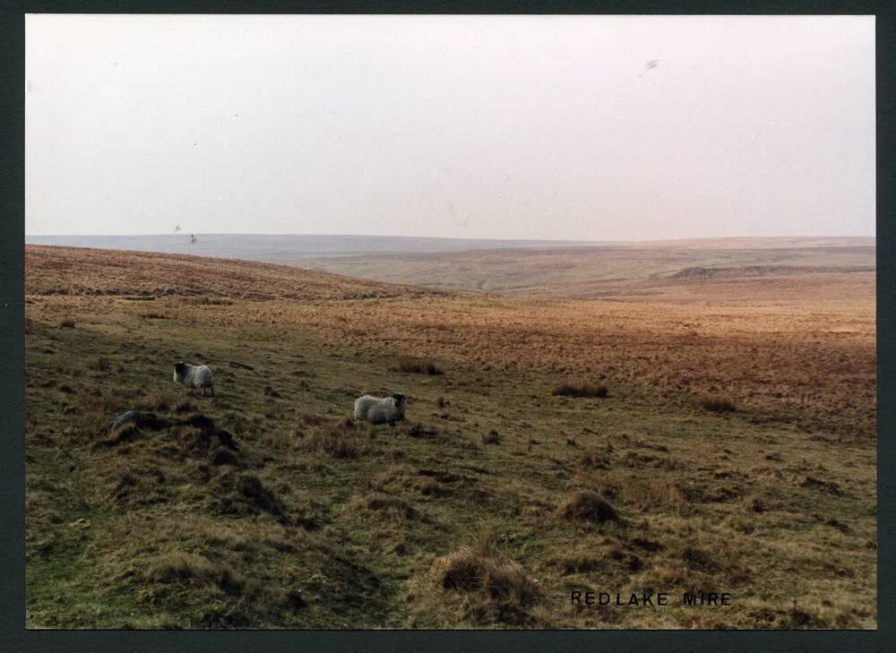 An image from the Dartmoor Trust Archive